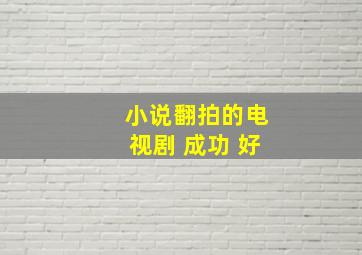 小说翻拍的电视剧 成功 好